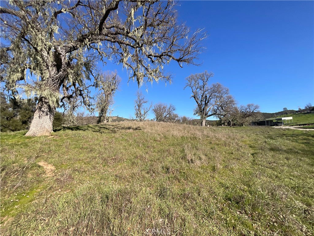 49253 Sapaque Property Photo 1