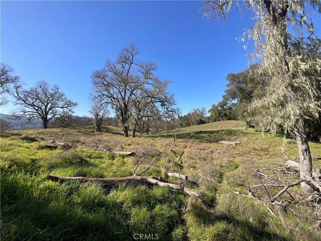 49253 Sapaque Property Photo 8