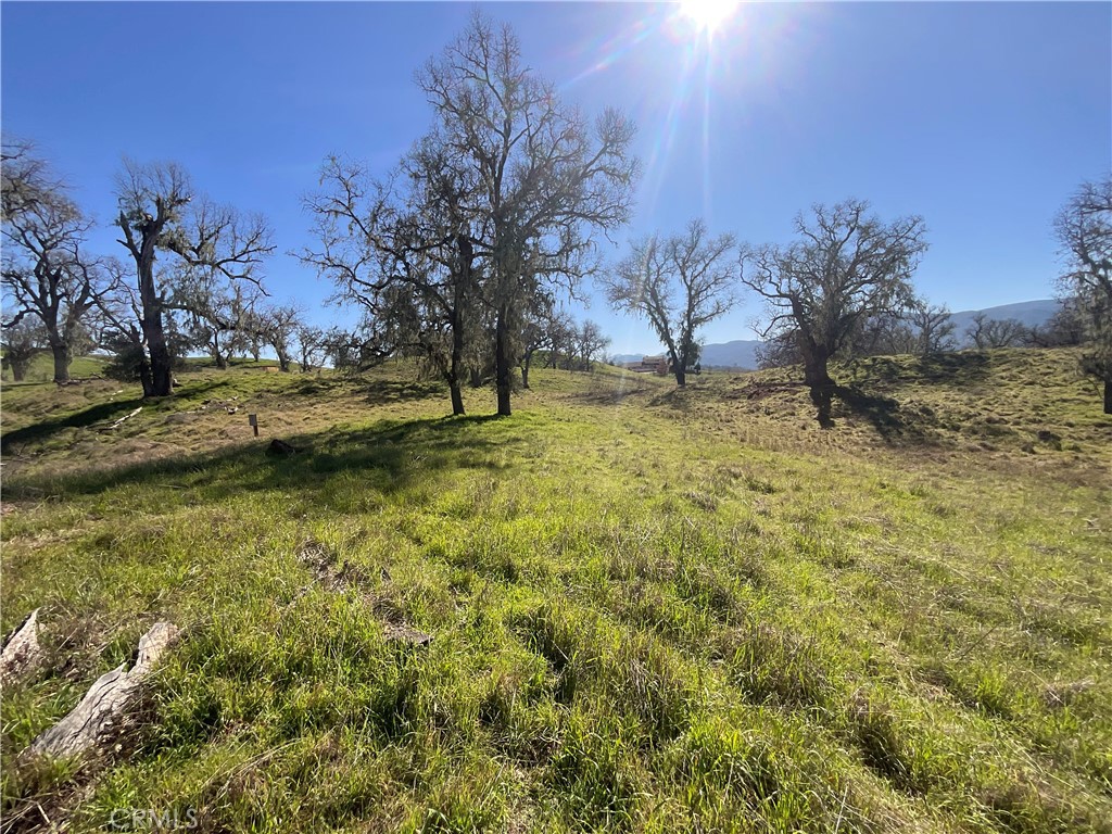 49253 Sapaque Property Photo 12