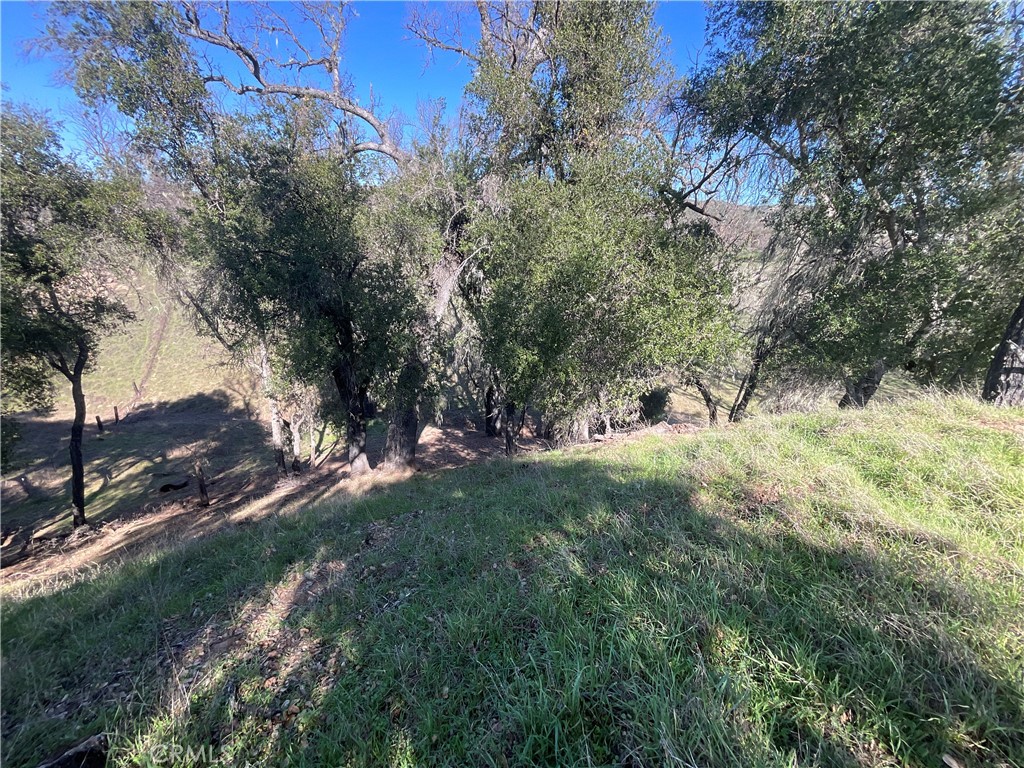 49253 Sapaque Property Photo 14