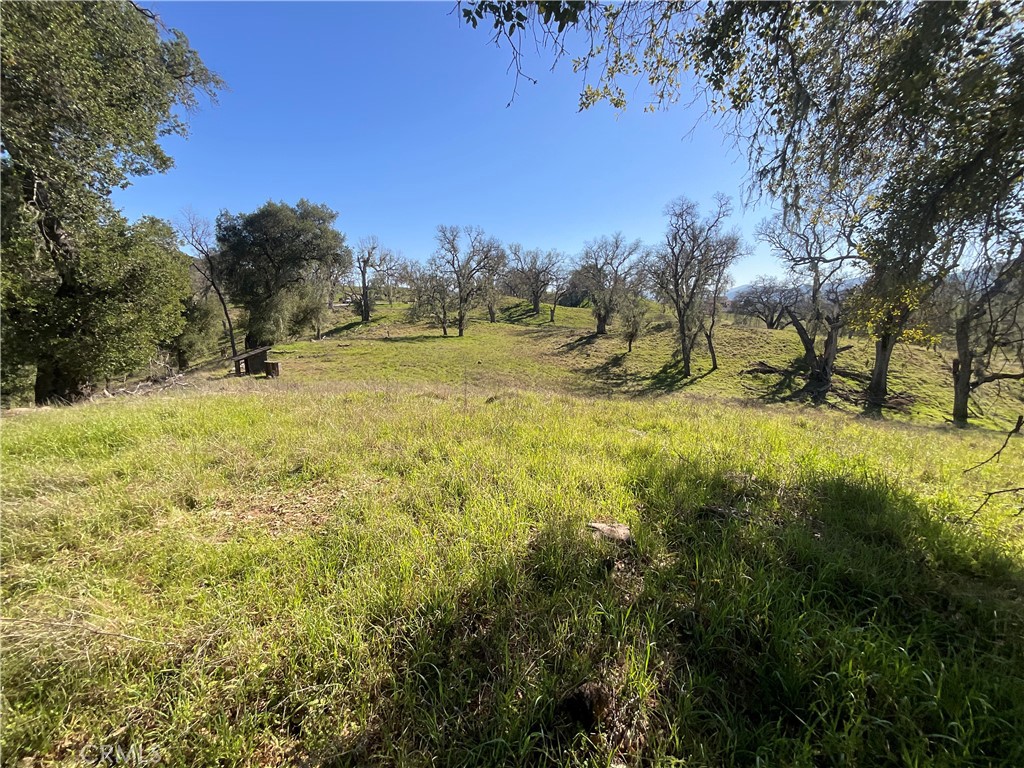 49253 Sapaque Property Photo 15