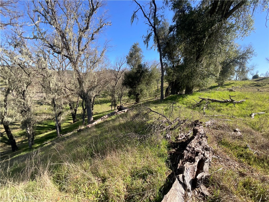 49253 Sapaque Property Photo 17