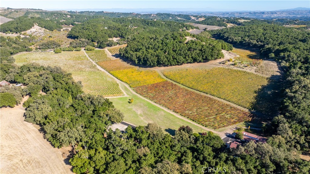 1545 Willow Creek Property Photo 47