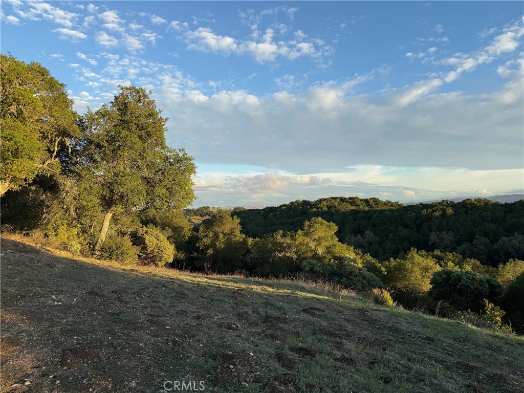 1545 Willow Creek Property Photo 51