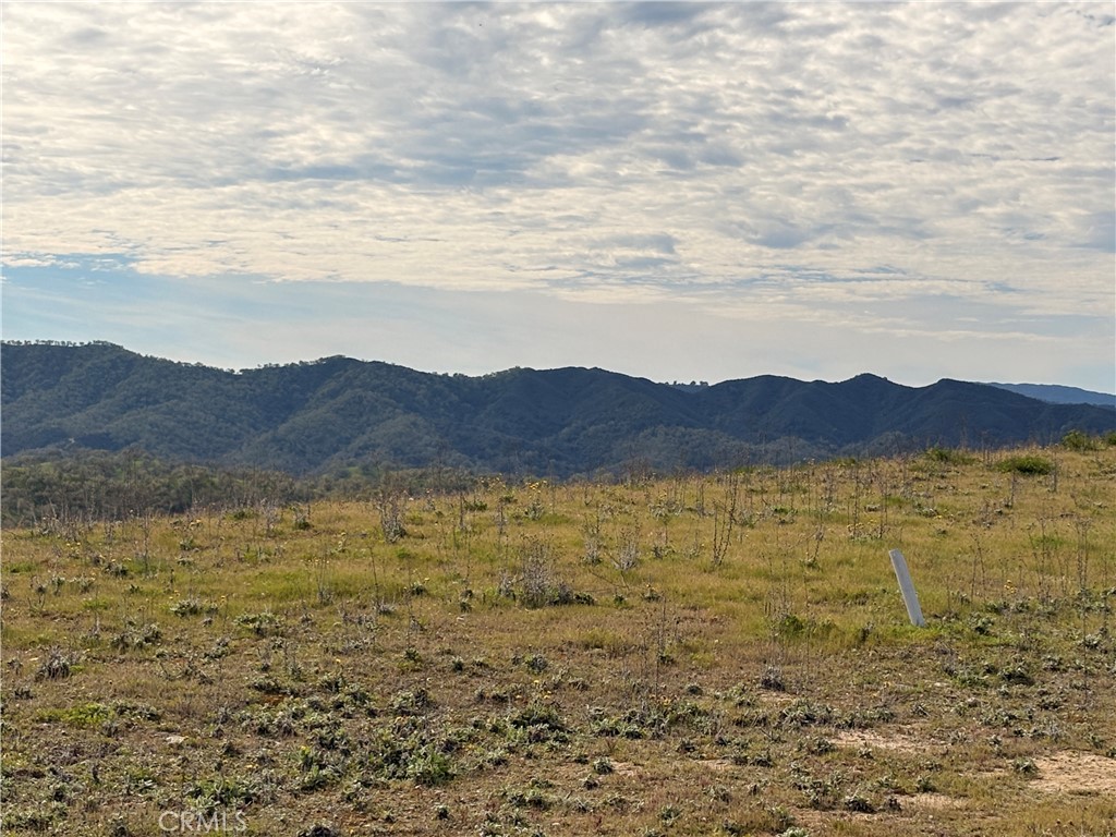 3260 Timberline Drive Property Photo 4
