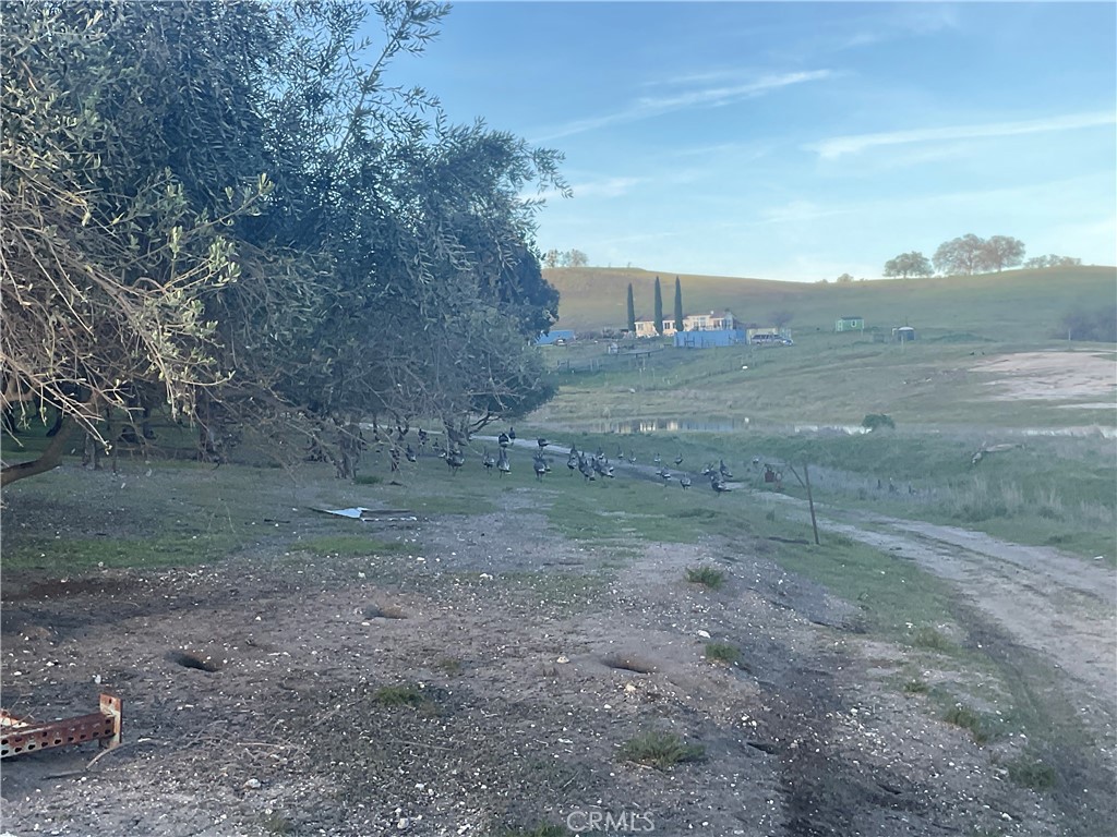 76671 Hesperia Property Photo 25