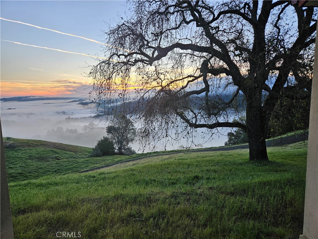 1115 Cypress Mountain Drive Property Photo 1