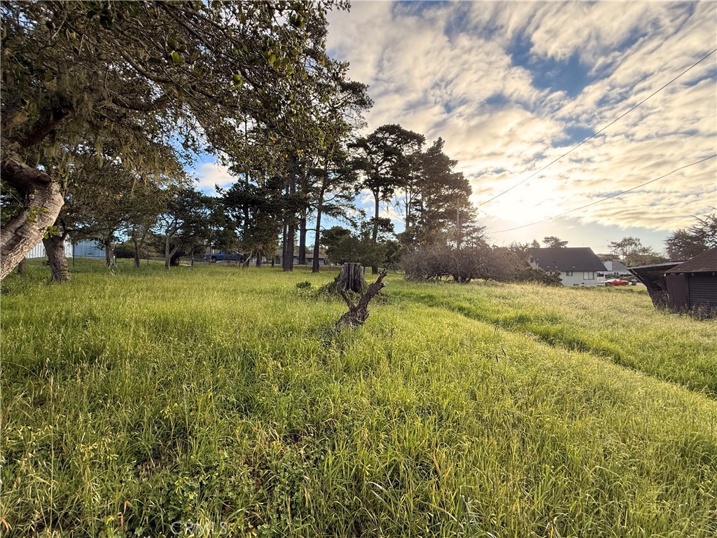 6126 Charing Property Photo 2