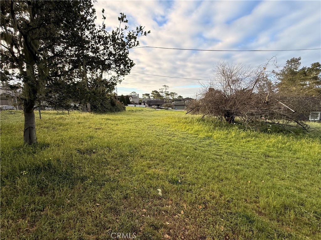 6126 Charing Property Photo 3