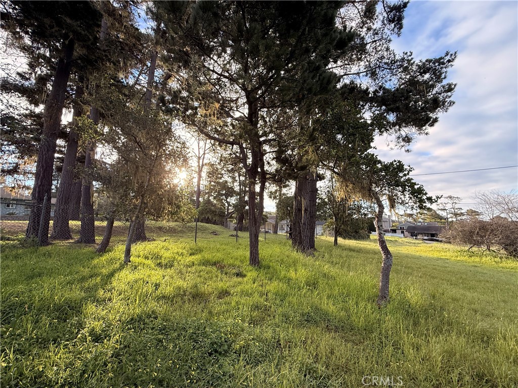 6126 Charing Property Photo 4