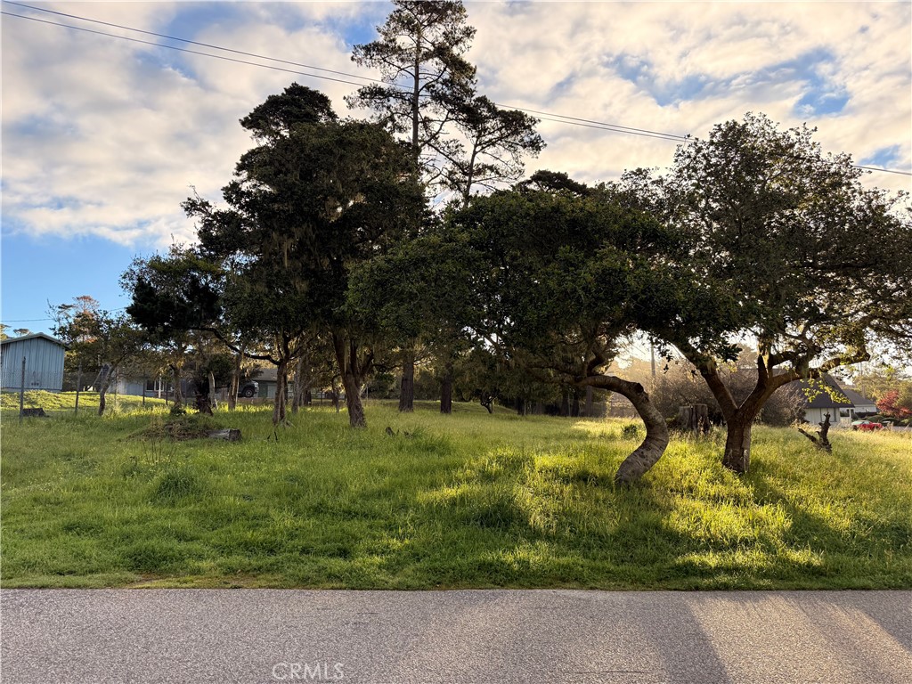 6126 Charing Property Photo 7