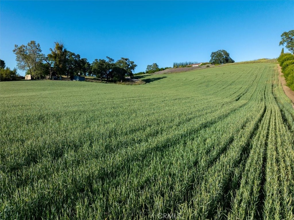5250 , 5260 Vineyard Property Photo 69