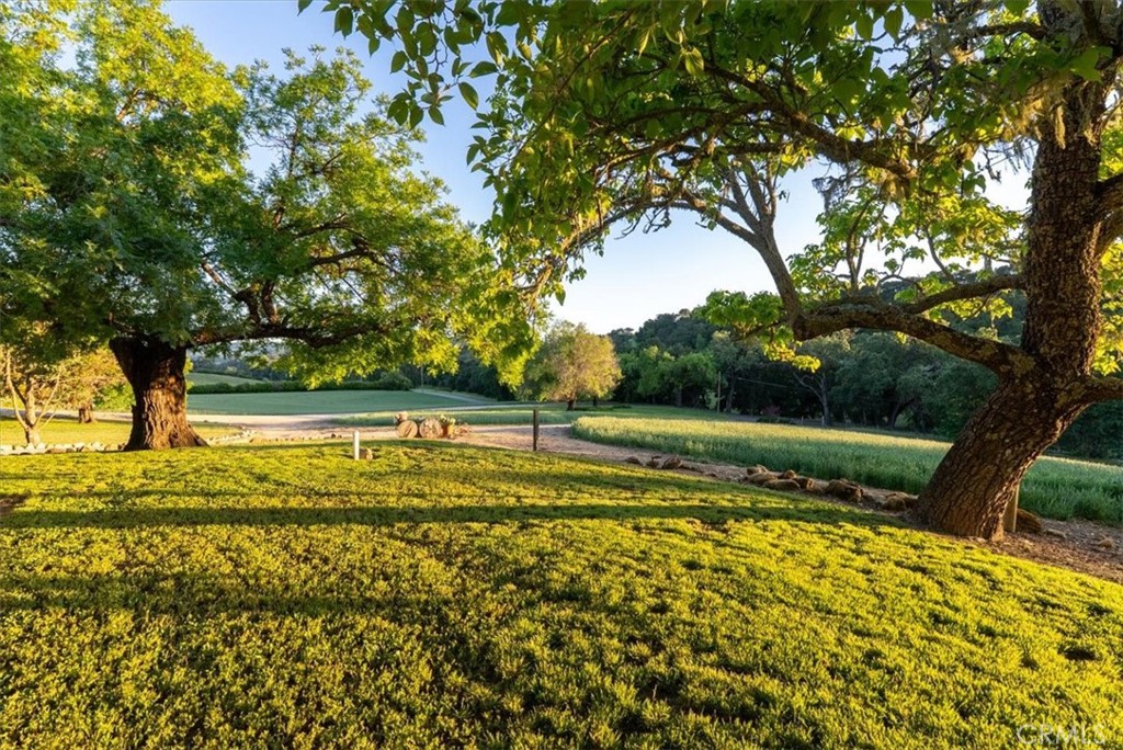 5250 , 5260 Vineyard Property Photo 71