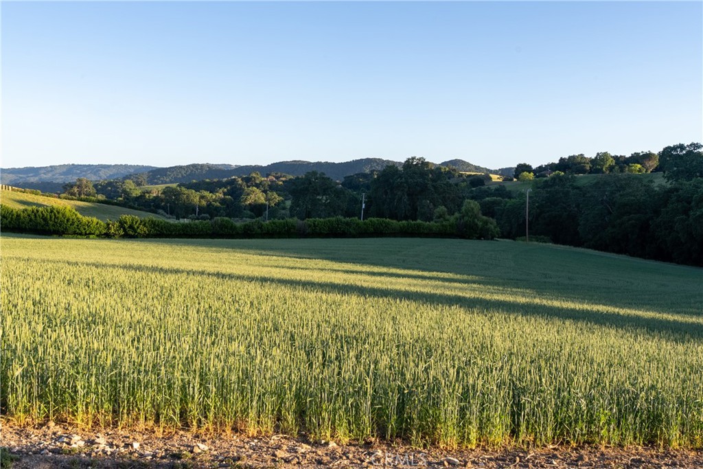 5250 , 5260 Vineyard Property Photo 74