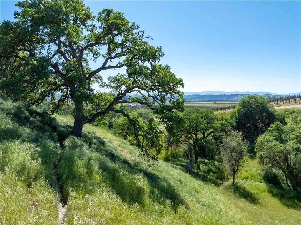 7310 Estrella Road Property Photo 25