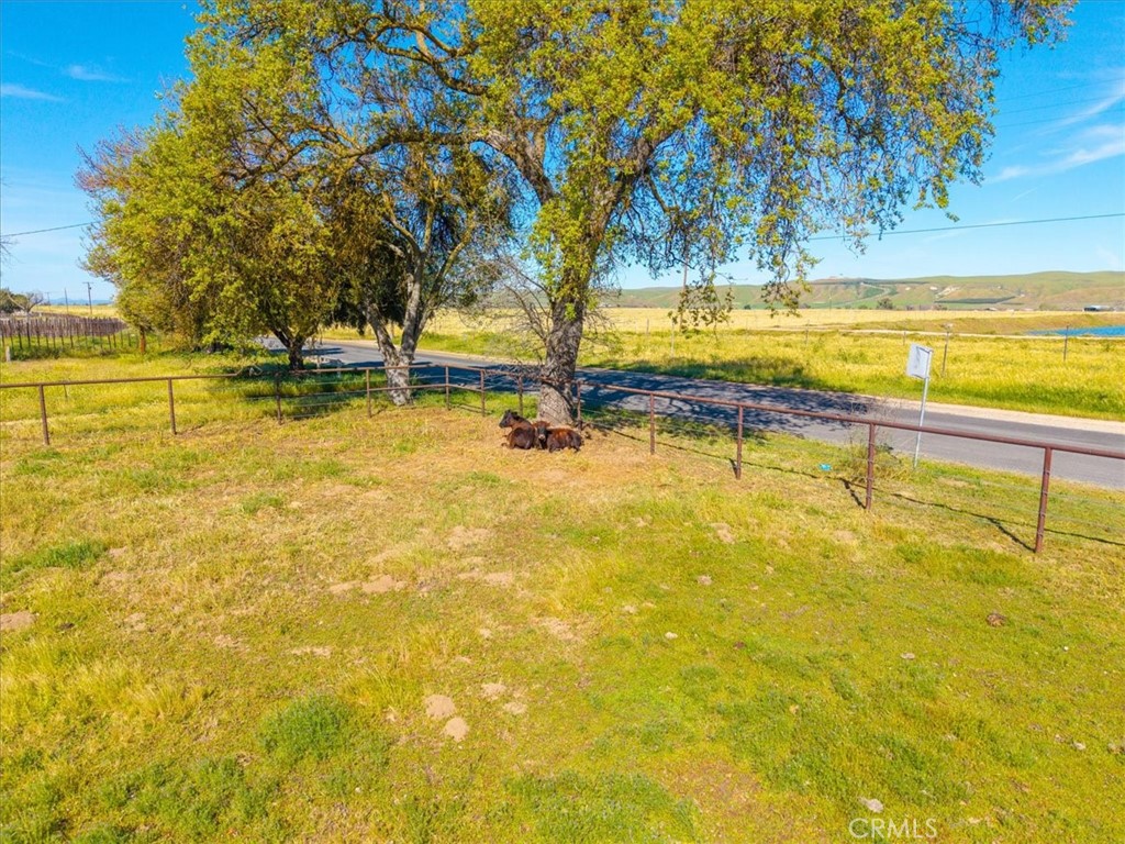 2100 Starkey Road Property Photo 35