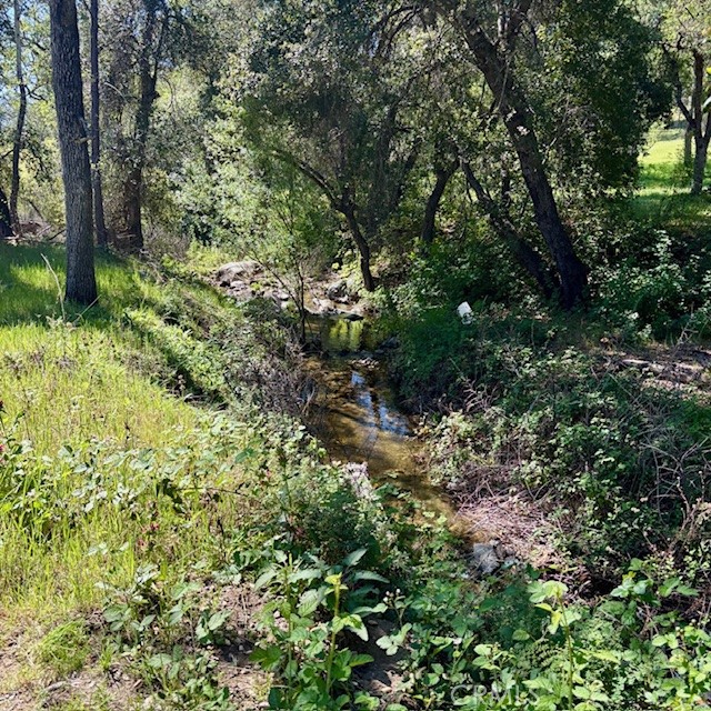 0 AV Ranch Road Property Photo 1