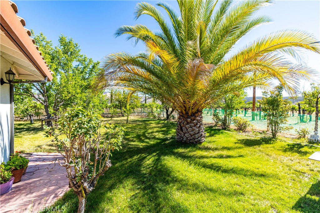 65380 San Lucas Property Photo 38