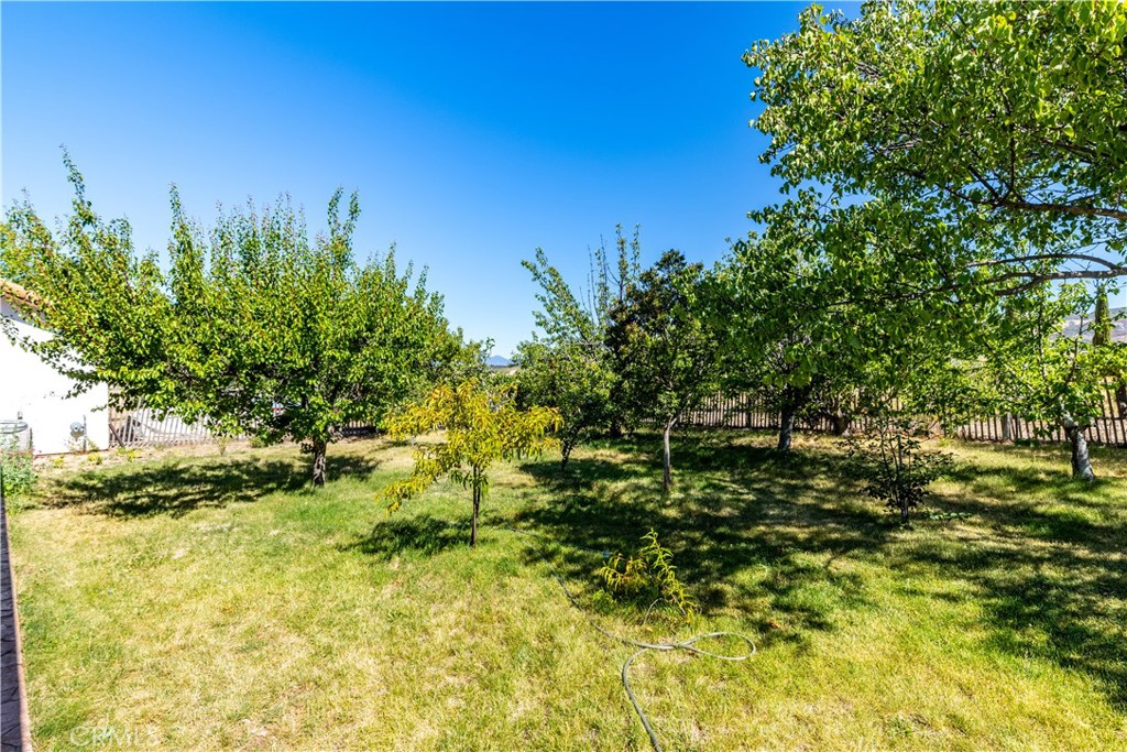 65380 San Lucas Property Photo 39