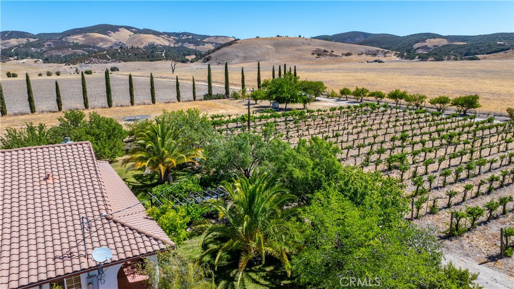 65380 San Lucas Property Photo 46