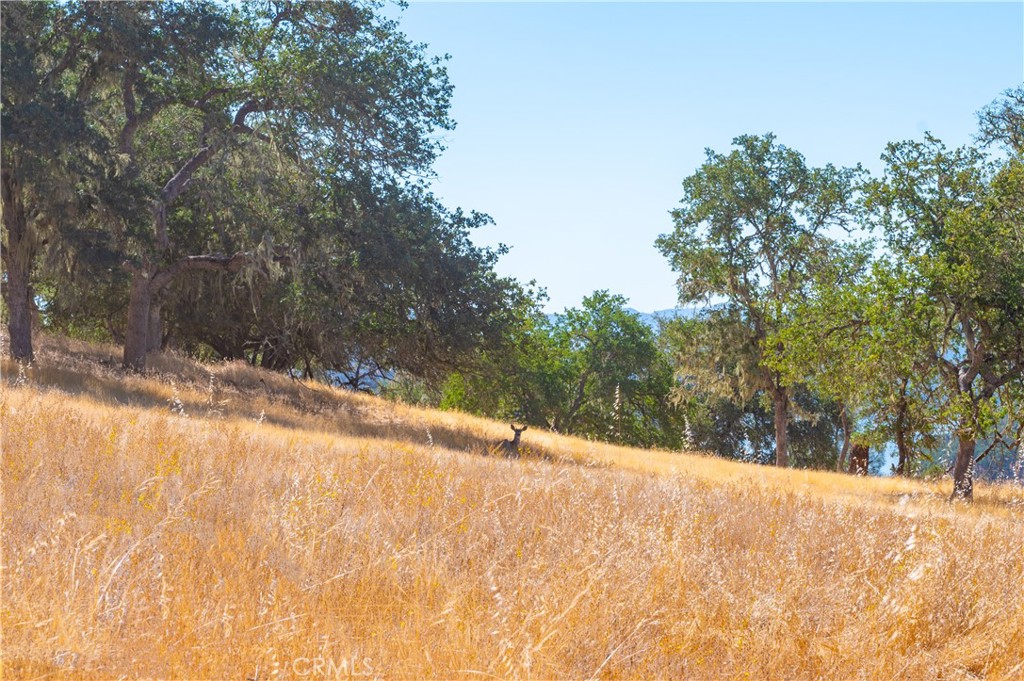 0 Tierra Redondo Property Photo 40