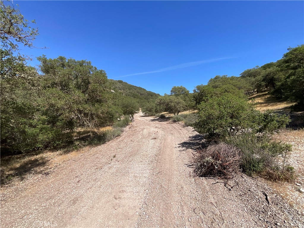 105 Paulsen Road Property Photo 20
