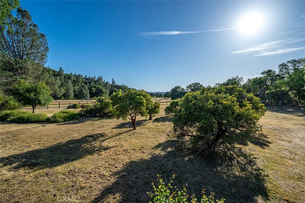1350 Parkhill Property Photo 46