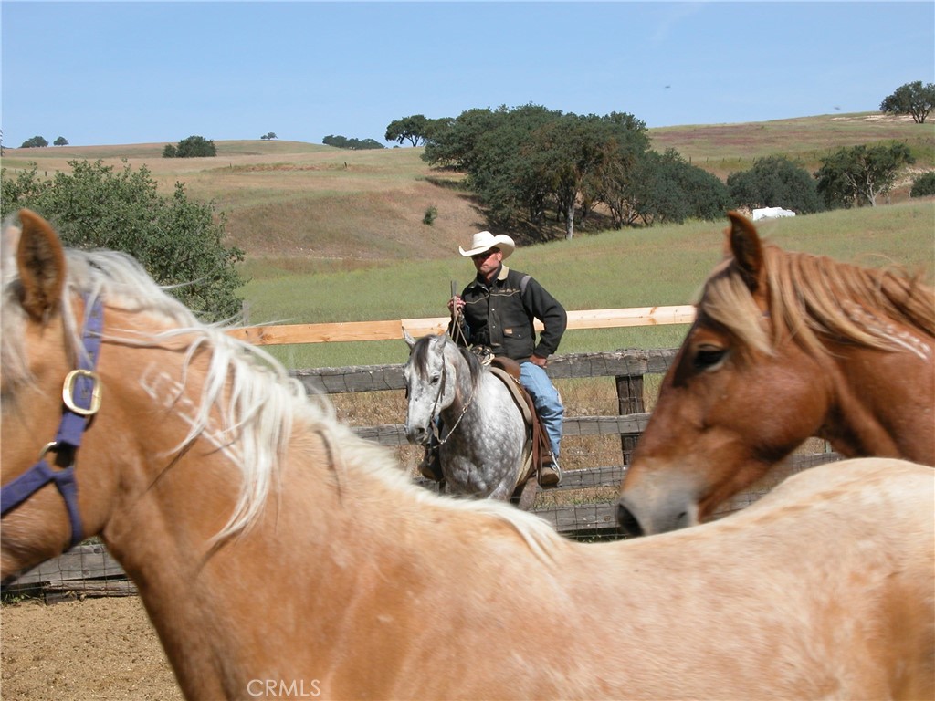 0 Nickel Creek Road Property Photo 6