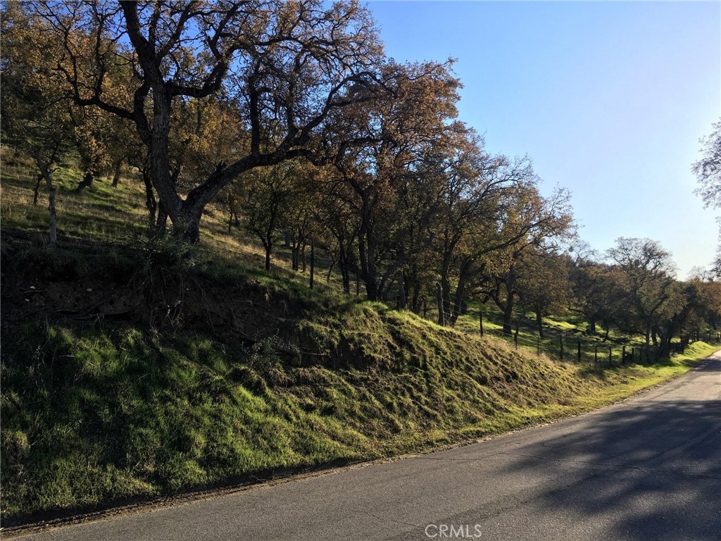 0 Nickel Creek Road Property Photo 16
