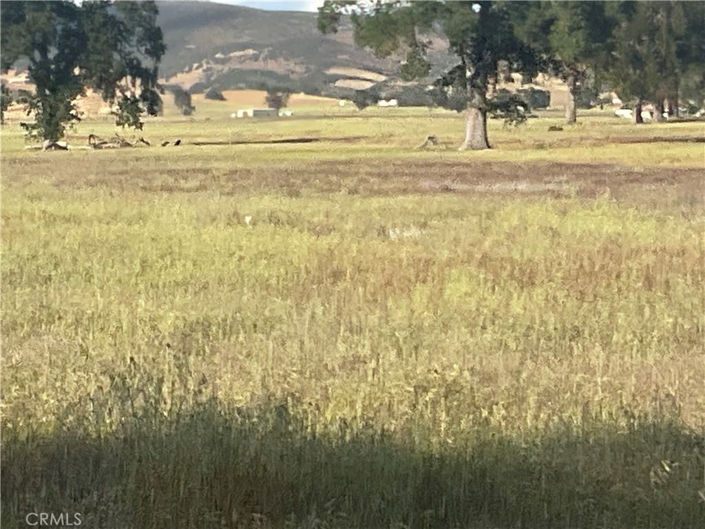 1 Jolon Property Photo 3