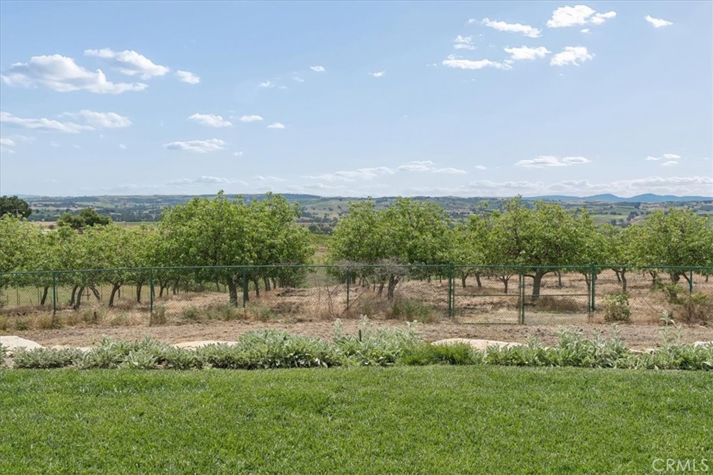 5565 High Ridge Property Photo 59