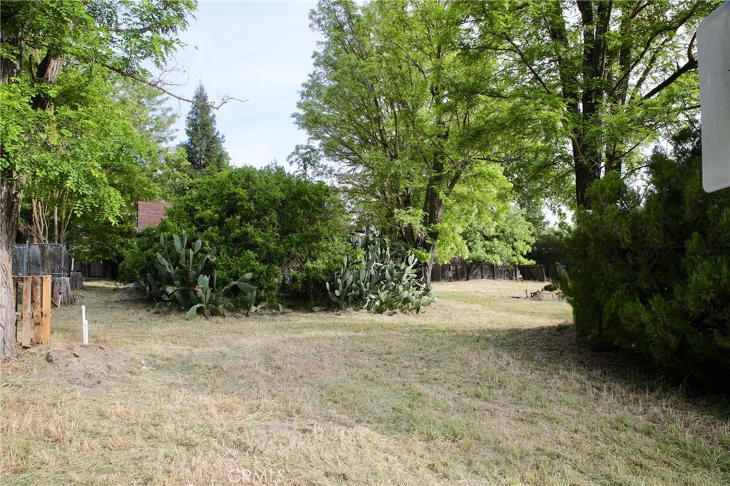 5985 Dolores Property Photo 11
