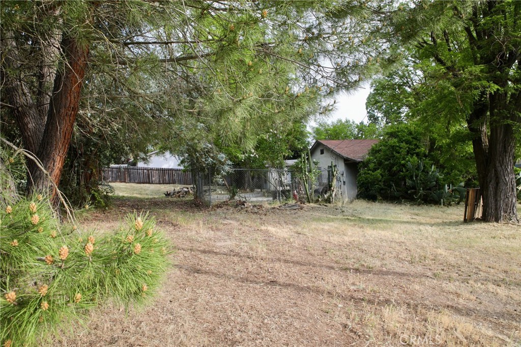 5985 Dolores Property Photo 6
