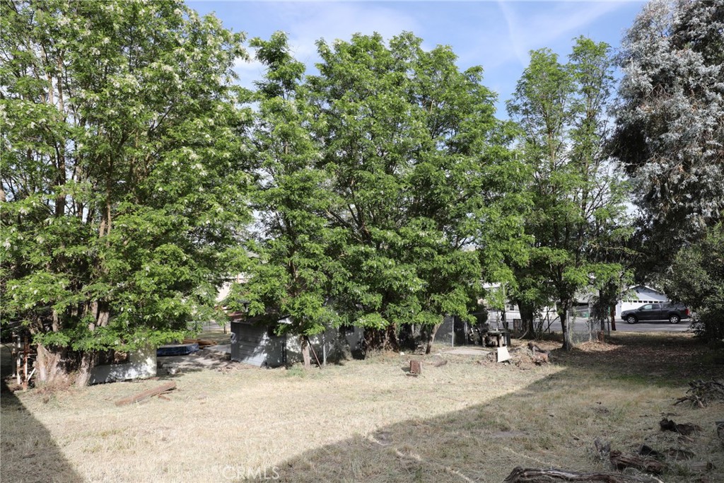5985 Dolores Property Photo 7