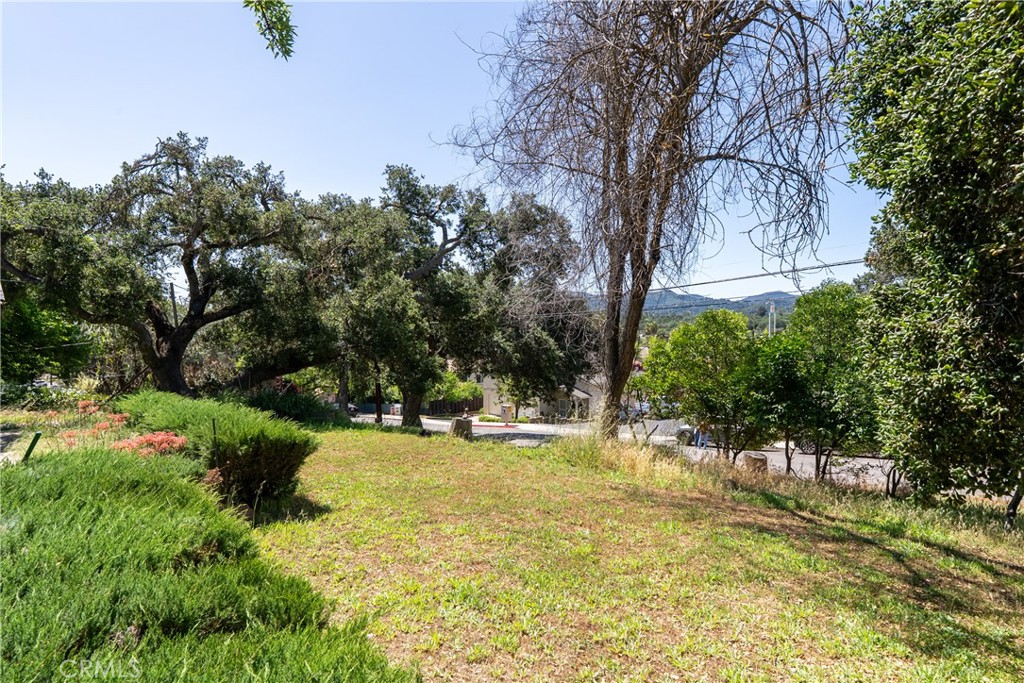 9755 Las Lomas Property Photo 4