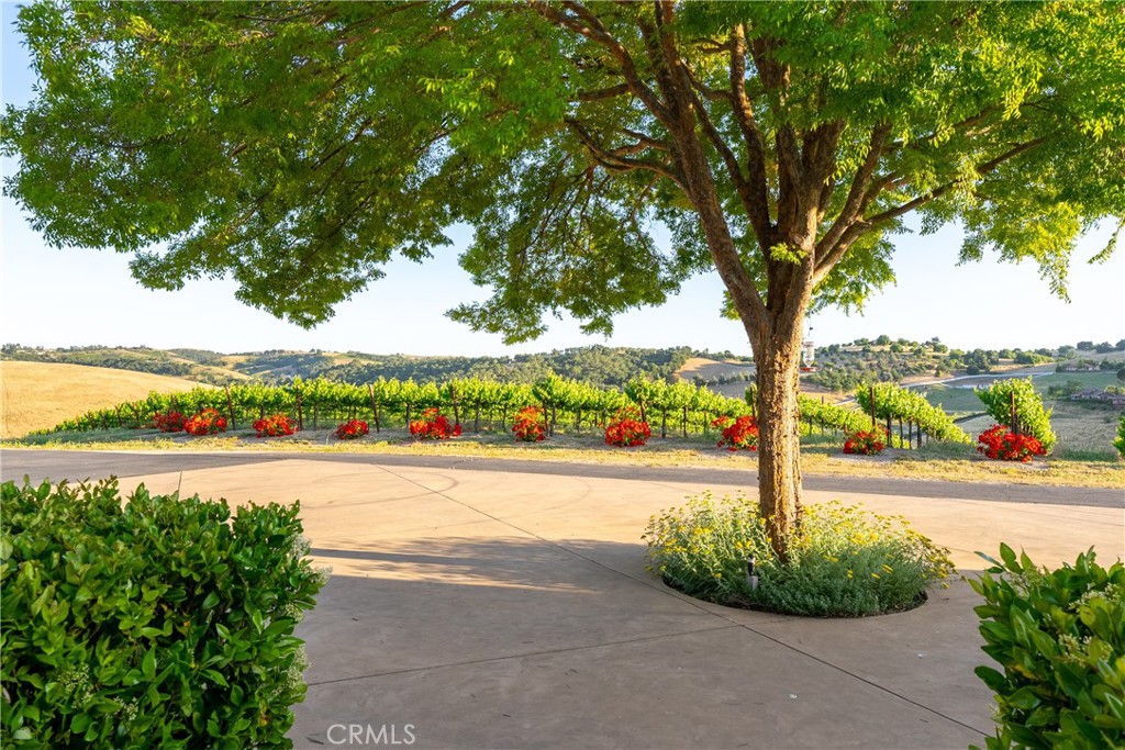 4550 Almond Property Photo 49