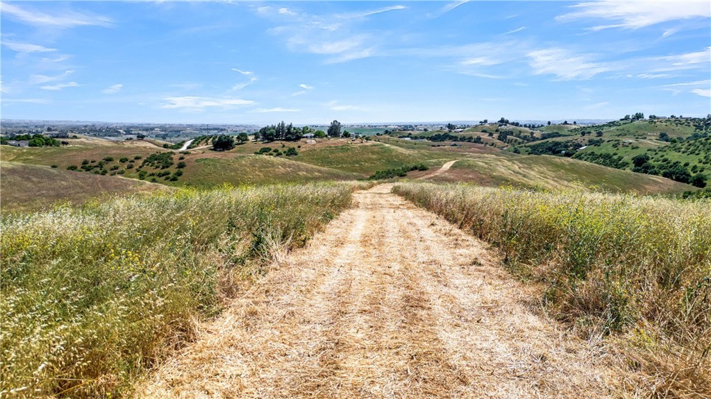 0 Crest View Property Photo 12