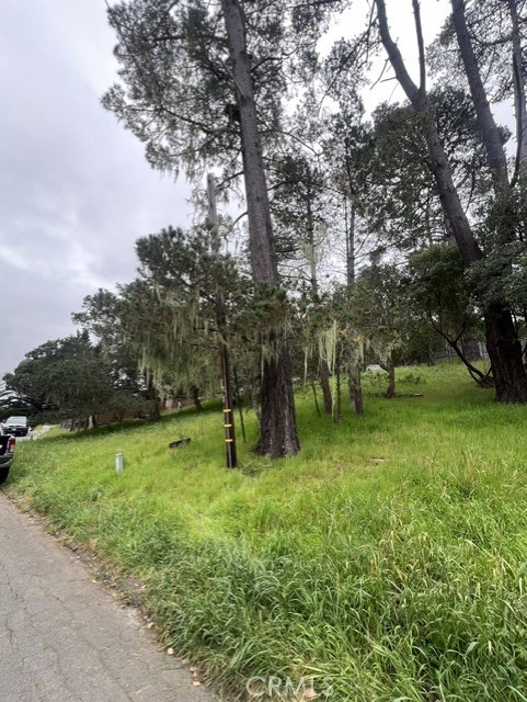 0 Mills Property Photo 1