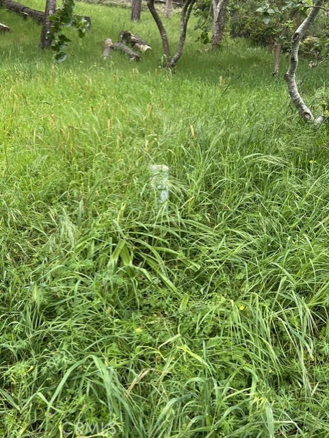 0 Mills Property Photo 2
