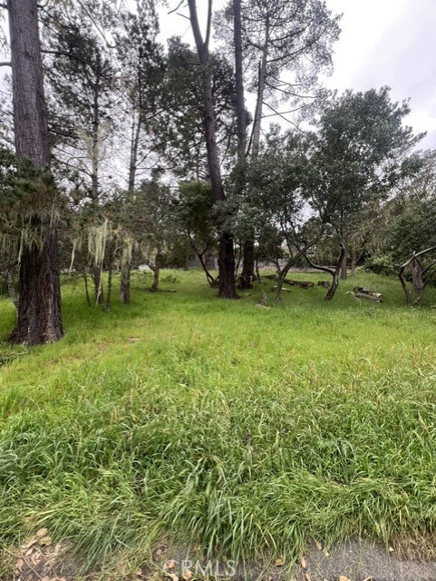 0 Mills Property Photo 3