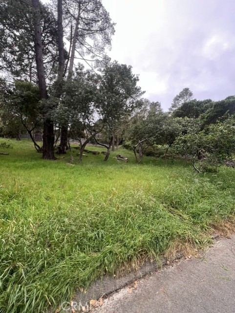 0 Mills Property Photo 4