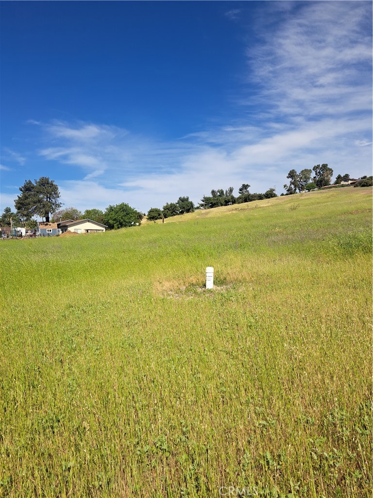 4286 E Hwy 41 Property Photo 4