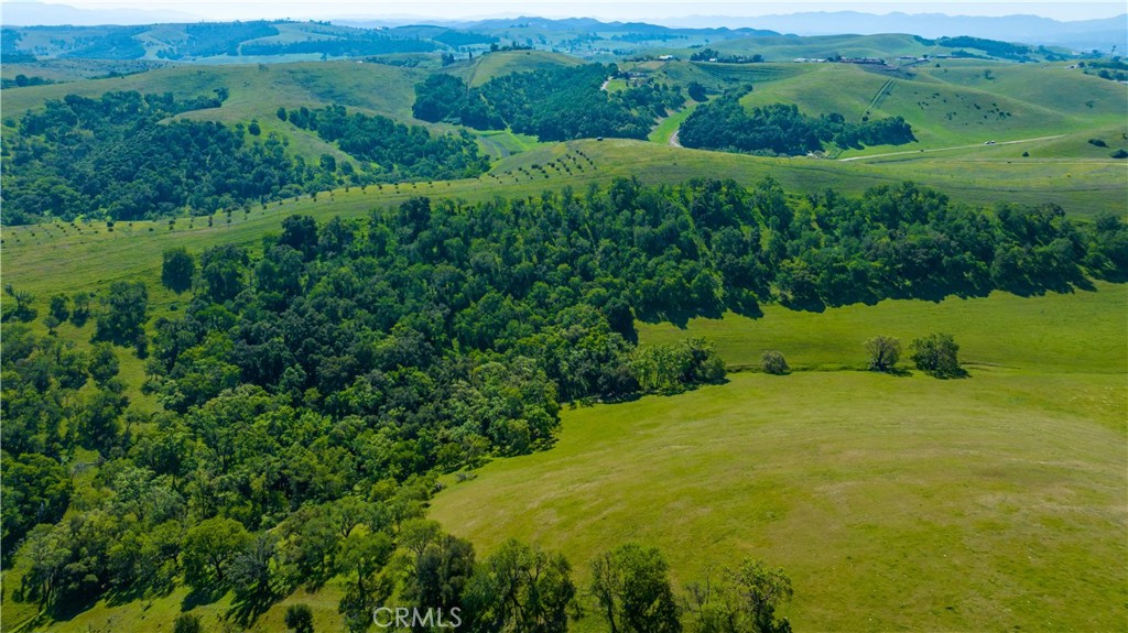 2750 Raptor Ridge Trail Property Photo 20