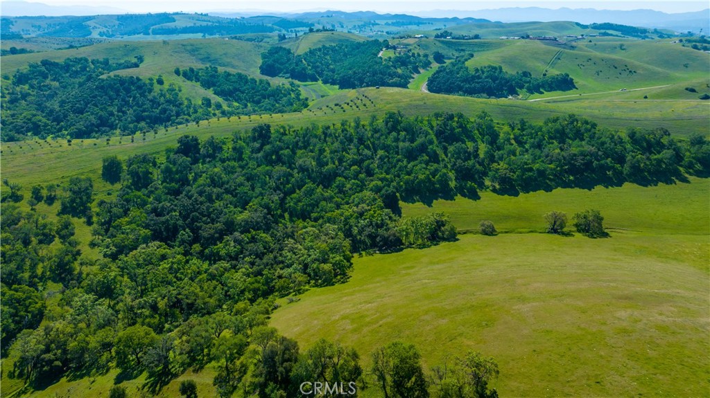 2750 Raptor Ridge Trail Property Photo 20