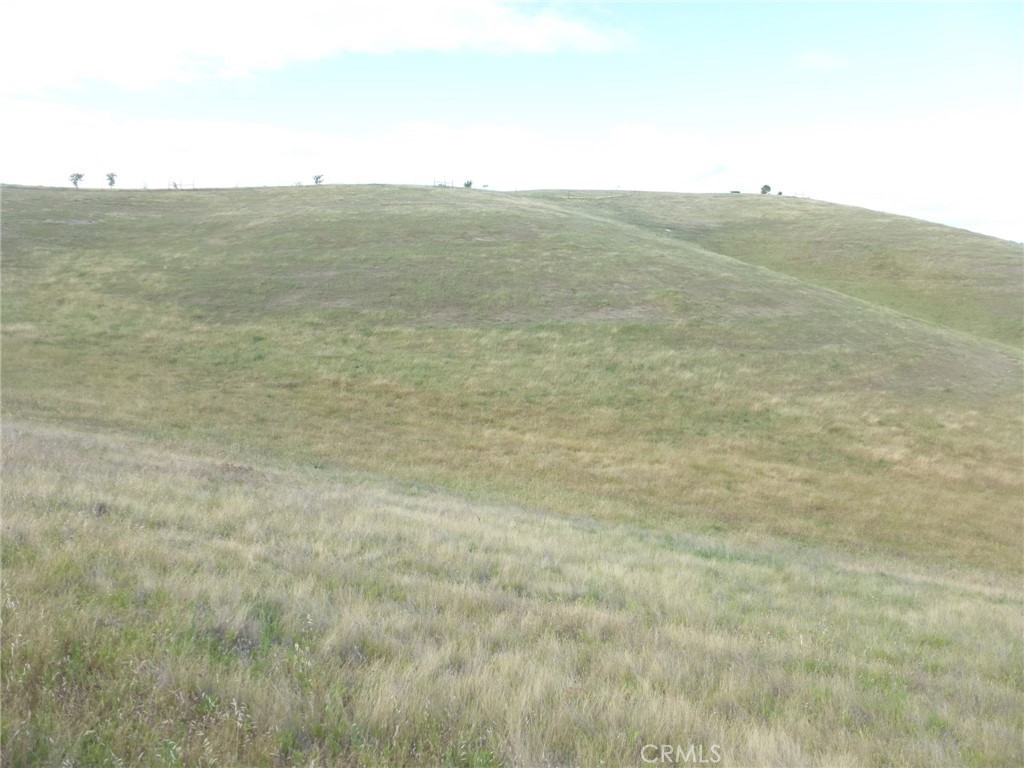 2750 Raptor Ridge Trail Property Photo 33