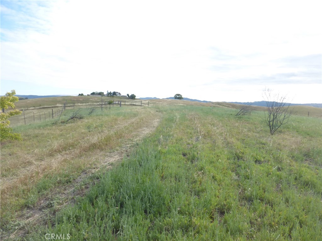 2750 Raptor Ridge Trail Property Photo 38