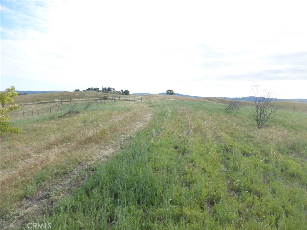 2750 Raptor Ridge Trail Property Photo 38