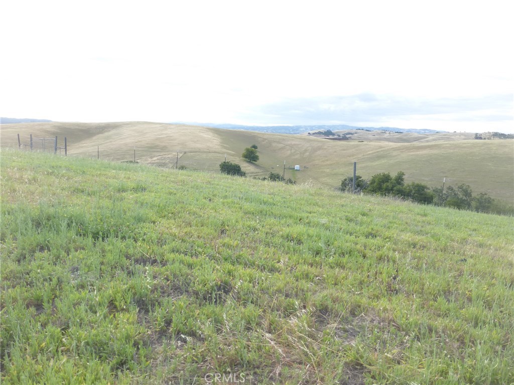2750 Raptor Ridge Trail Property Photo 39