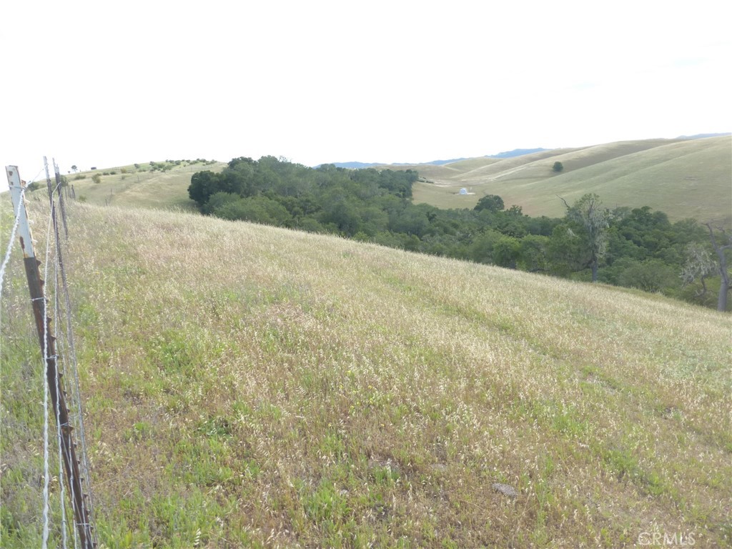 2750 Raptor Ridge Trail Property Photo 52