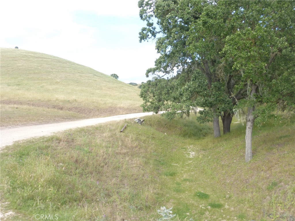 2750 Raptor Ridge Trail Property Photo 74